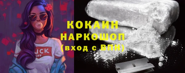 твердый Бронницы