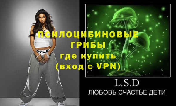 твердый Бронницы