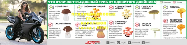 трава Бородино