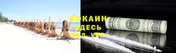 твердый Бронницы